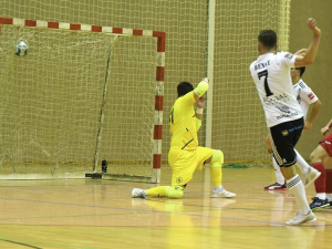 Složení soutěží v ročníku 2025/2026 