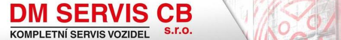 DM servis